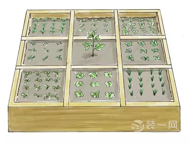 1平米菜园效果图