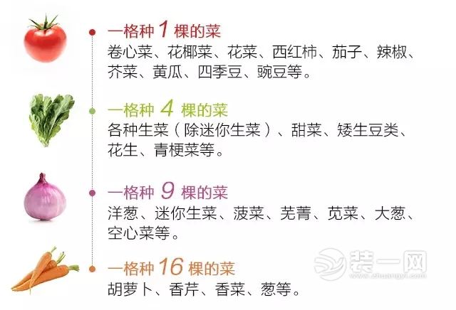 1平米菜园效果图